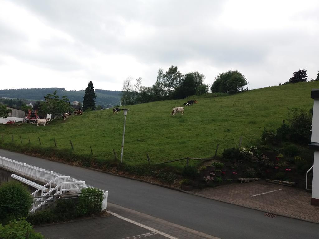 Haus Elsholz Willingen Lejlighed Willingen  Eksteriør billede