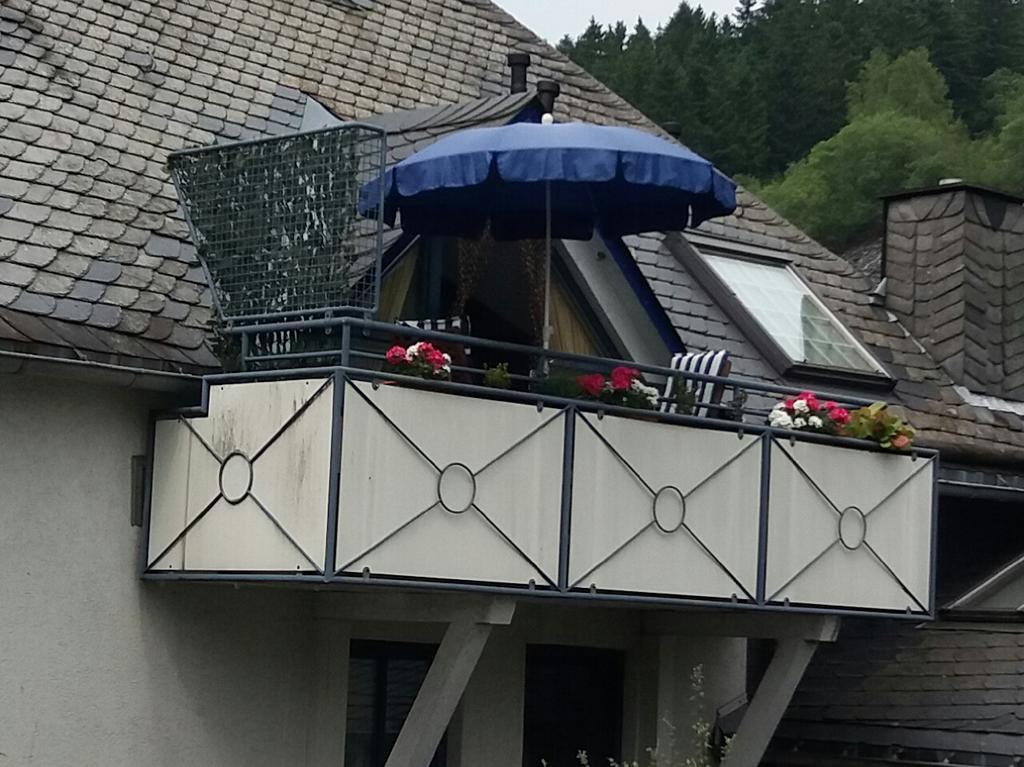 Haus Elsholz Willingen Lejlighed Willingen  Eksteriør billede